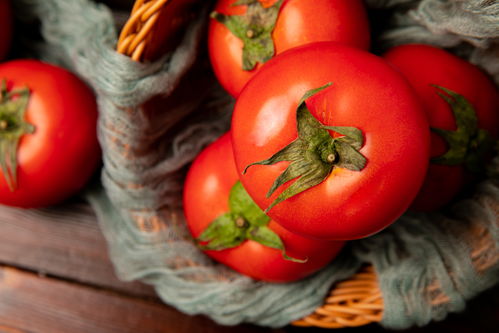 番茄 從紅潤果實到營養餐桌——兼談微生物肥料的應用