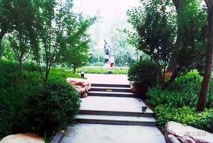 菏澤 環(huán)堤公園南區(qū)景點(diǎn)