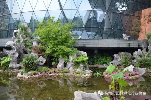 2016年度杭州市優秀園林綠化工程綜合組金獎 杭州國際博覽中心項目屋面園林綠化工程