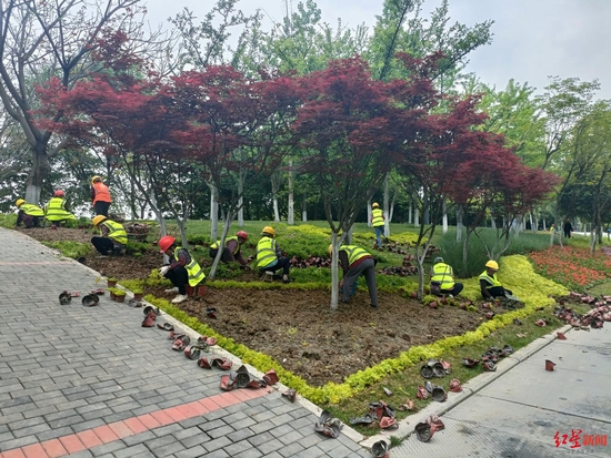 天府黃、錦官橙、太陽神鳥 成都三環路換上了新裝你注意到了嗎