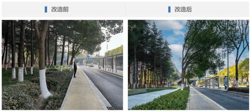 以匠心 筑精品 無錫地鐵代建太湖大道綠化提升工程煥新 靚 相