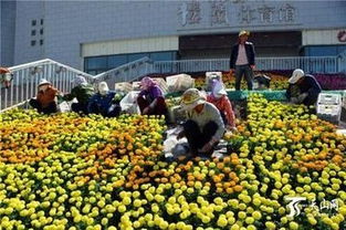 市政園林工程施工技術(shù)難點(diǎn)及其應(yīng)對措施 深圳市政園林綠化技巧培訓(xùn)