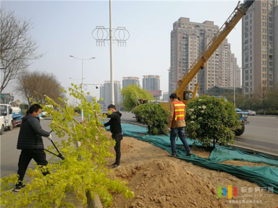 新鄉(xiāng)投資5845萬元 對(duì)市區(qū)道路進(jìn)行綠化改造