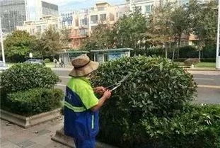 園林綠化工程中存在的部分問題及建議