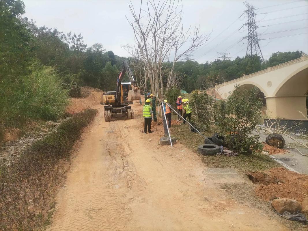 植樹節(jié),種樹#園林綠化工程 #施工現(xiàn)場實拍