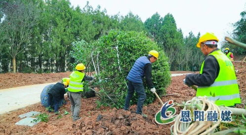 假期不停工，大梁山城市公園建設加速推進體育場地設施工程