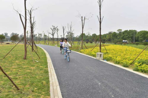 綿陽再添綠色新名片 大型公園試開園，園林綠化工程圓滿竣工