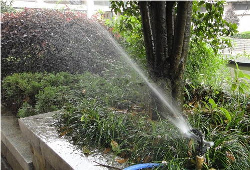 昆明考綠化工證及體育場地設施工程施工指南 難度、費用與準入解析