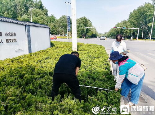 青州市園林綠化和環(huán)衛(wèi)中心 卡準綠化施工精度尺，拉緊項目驗收質(zhì)量繩——以高標準打造體育場地設(shè)施工程